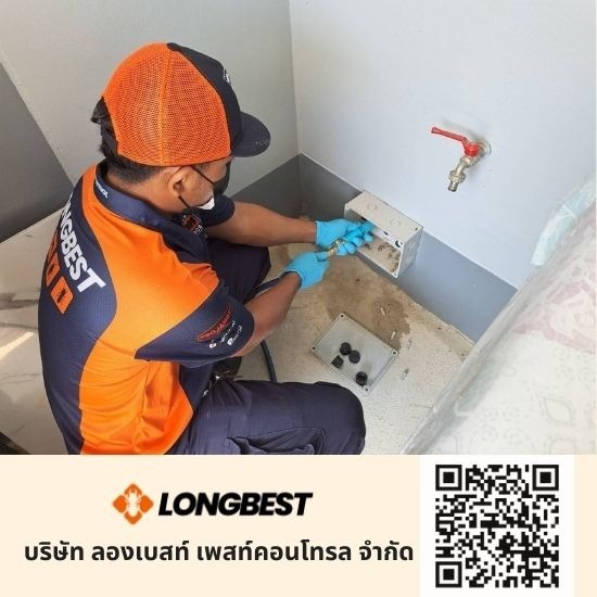 บริษัทกำจัดปลวกใกล้ฉัน บริษัทกำจัดปลวกใกล้ฉัน