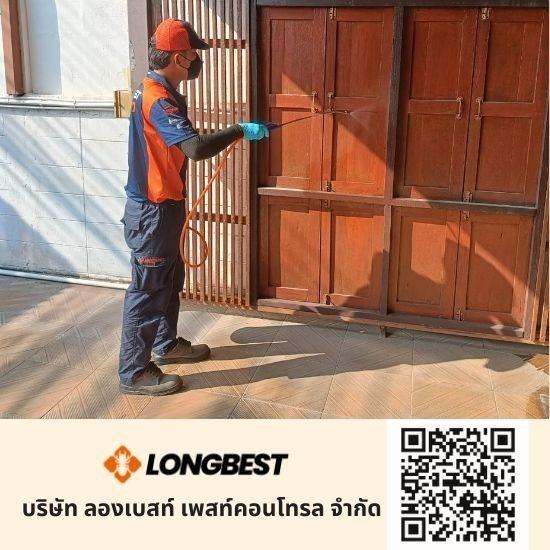 บริษัทกำจัดปลวก สมุทรสาคร บริษัทกำจัดปลวก สมุทรสาคร