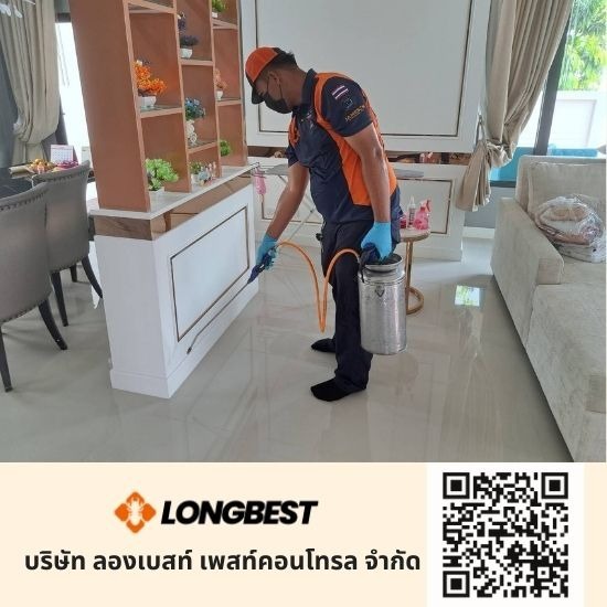 บริษัทกำจัดปลวก นครปฐม บริษัทกำจัดปลวก นครปฐม