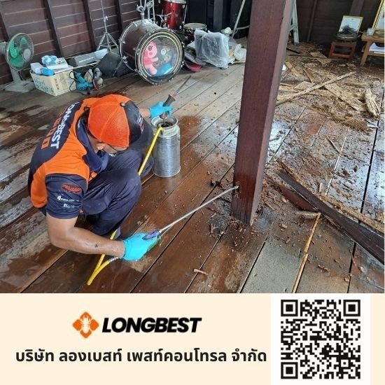 รับกำจัดปลวก นนทบุรี รับกำจัดปลวก นนทบุรี