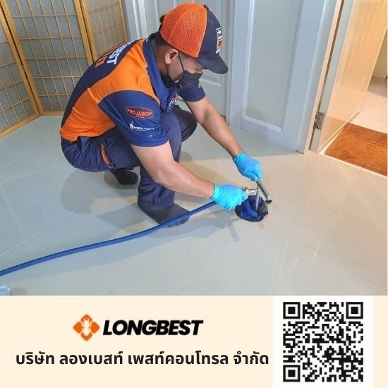 บริษัทกำจัดปลวก สมุทรปราการ บริษัทกำจัดปลวก สมุทรปราการ