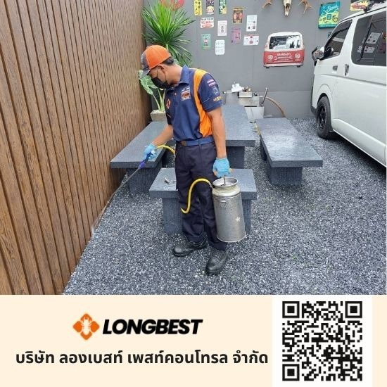 บริการกําจัดปลวก กรุงเทพมหานคร บริการกําจัดปลวก กรุงเทพมหานคร
