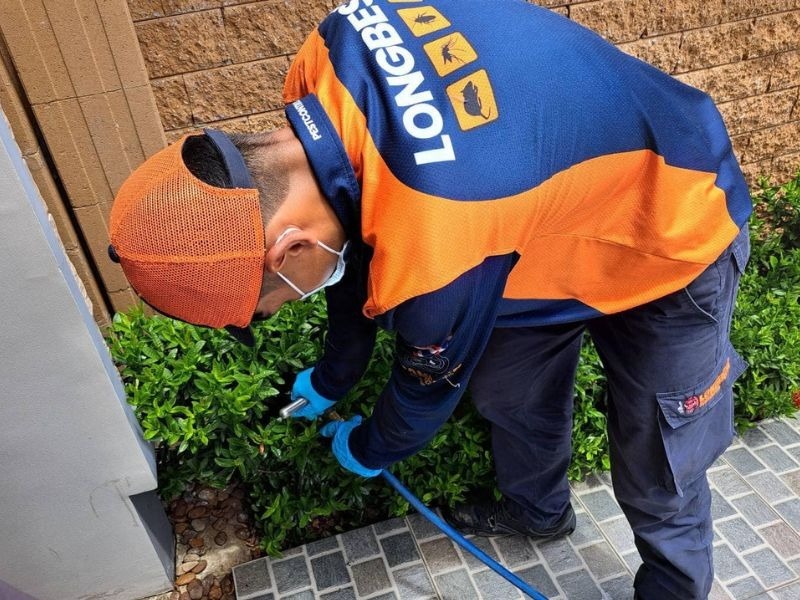 บริษัทกำจัดปลวกและแมลง