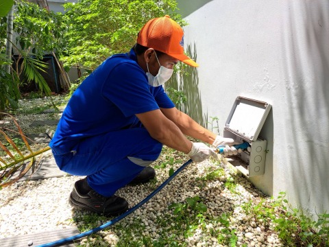 วางท่อกำจัดปลวก