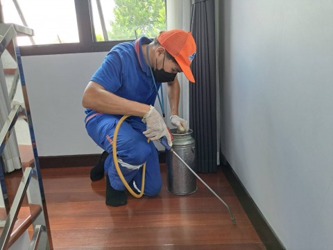 กำจัดปลวก นครปฐม