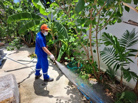 กำจัดปลวก กรุงเทพมหานคร