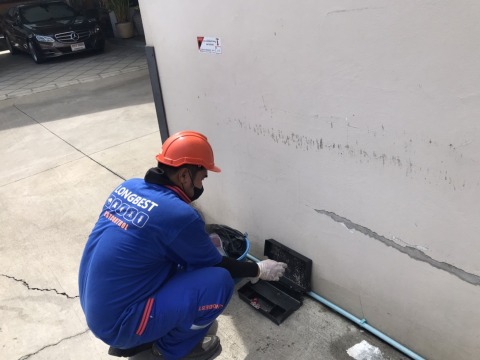 กำจัดหนู สมุทรสาคร