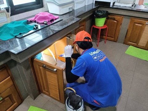 กำจัดมดและแมลงสาบ