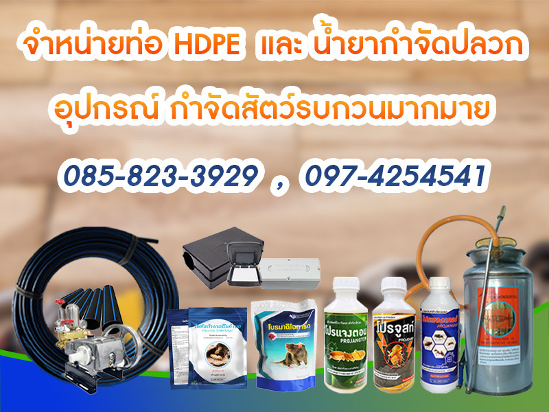 กำจัดปลวกสมุทรสาคร_1