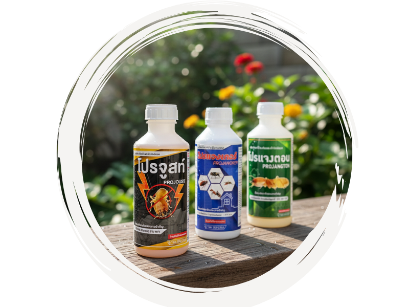 ใช้น้ำยากำจัดปลวกที่มีคุณภาพ ใช้น้ำยากำจัดปลวกที่มีคุณภาพ