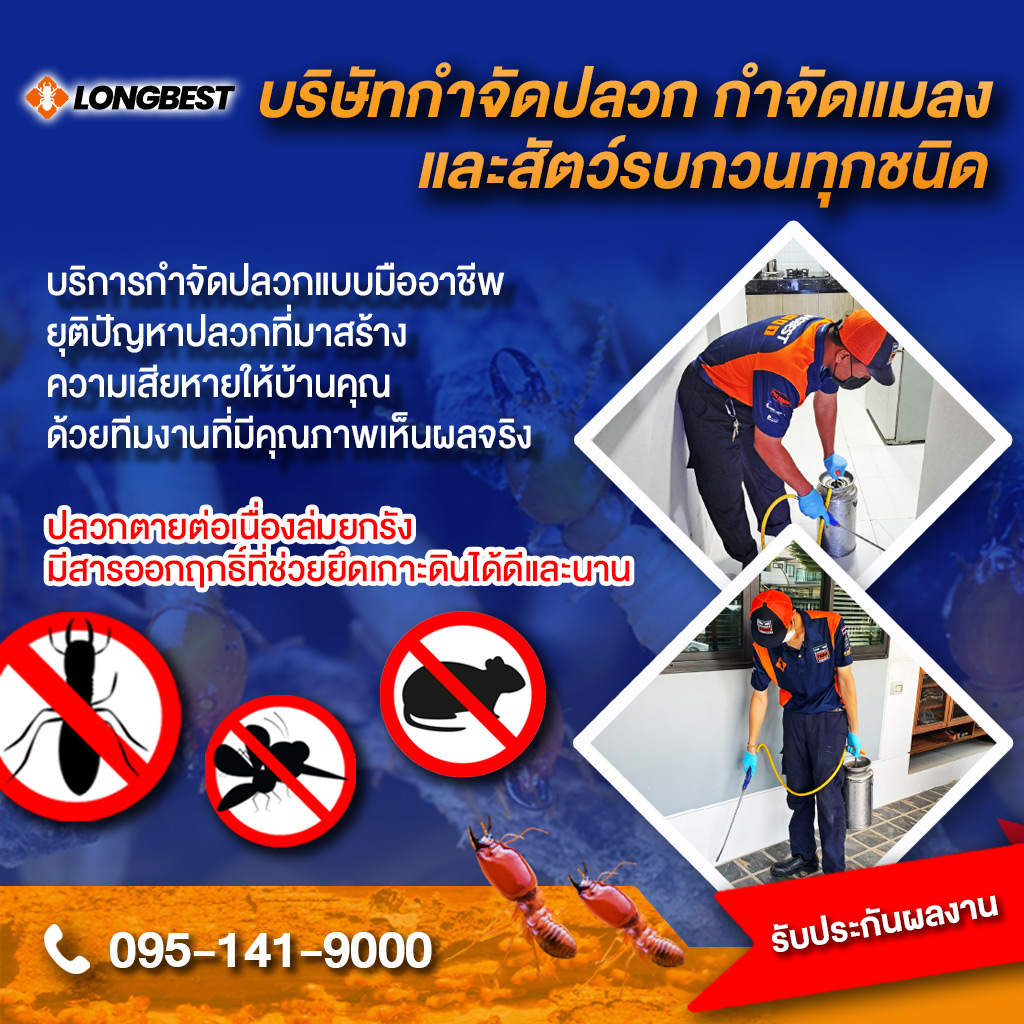 บทนำ: ประสบการณ์ตรงกับรีวิวออนไลน์ในธุรกิจกำจัดแมลง