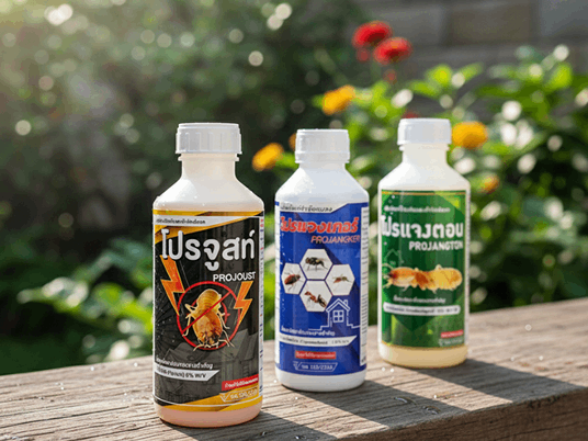 กำจัดปลวกน้ำยาคุณภาพ