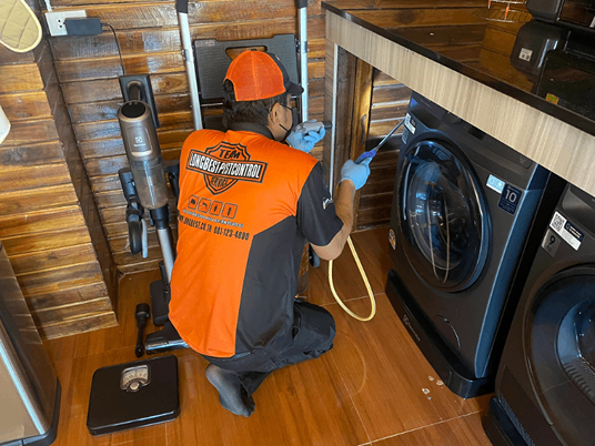 ป้องกันปลวก