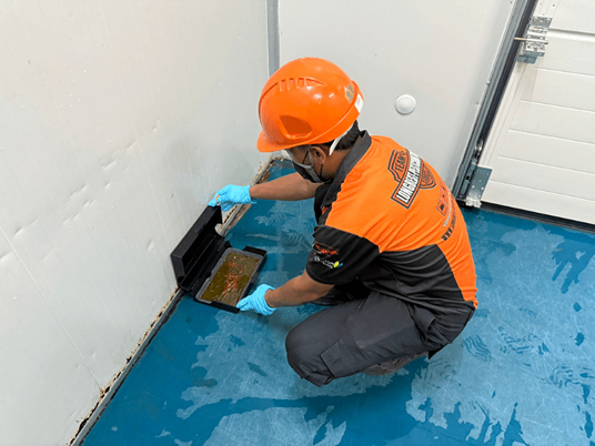 วางท่อกำจัดปลวก