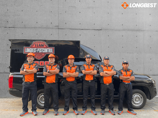 กำจัดปลวกแบบวางท่อ สมุทรสาคร