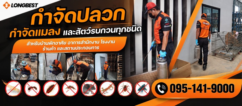 บริษัทกำจัดปลวกสมุทรสาคร ลองเบสท์ เพสท์คอนโทรล